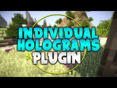 INDIVIDUAL HOLOGRAMS! | Minecraft Plugin Tutorial