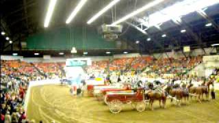 HPIM5953.MPG Big E 2011 Draft Horse Show Finals