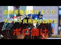 【競馬】ダート不良馬場は血統で勝てる説【検証】