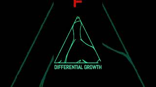 Differential Growth