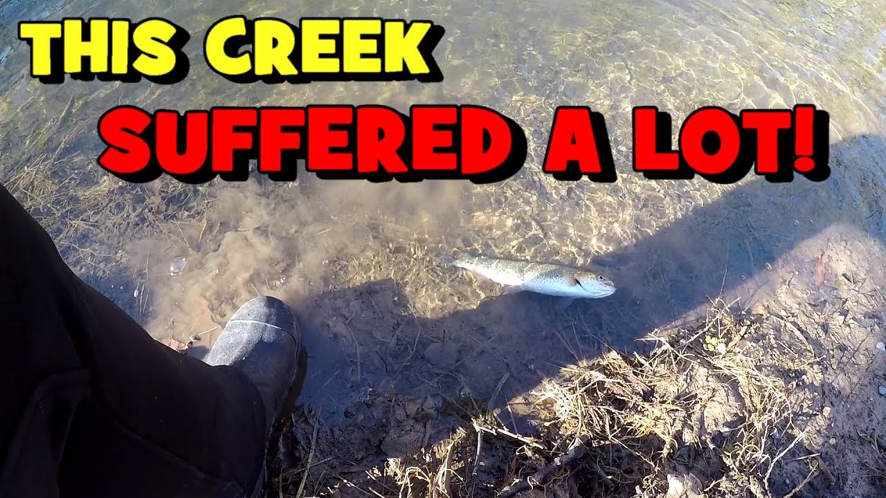 Fishing a Creek That SUFFERED A MAJOR FISHKILL! (2020 Roanoke Trip EP