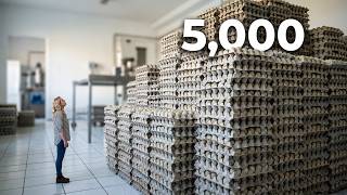 The Biggest Challenge Yet: 5,000 Eggs in an Incubator 🥚🐣