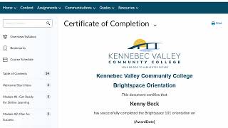 Welcome to Brightspace 101