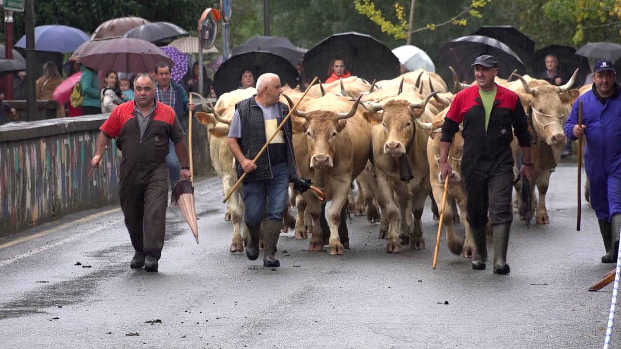 UDAZKENEKO FERIAK 2024 ELIZONDO
