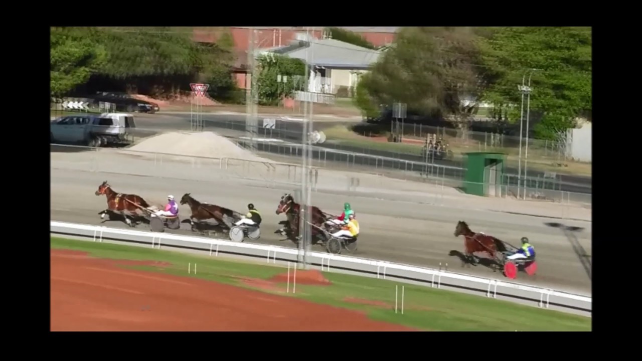 Mildura Harness Racing Club 20 Jan 2017 Trial 2 YouTube