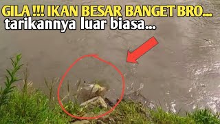YAKIN KUAT...!!! MANCING DI SUNGAI SERAYU BIKIN PANIK STRIKE IKAN BESAR