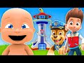 Baby meets the paw patrol