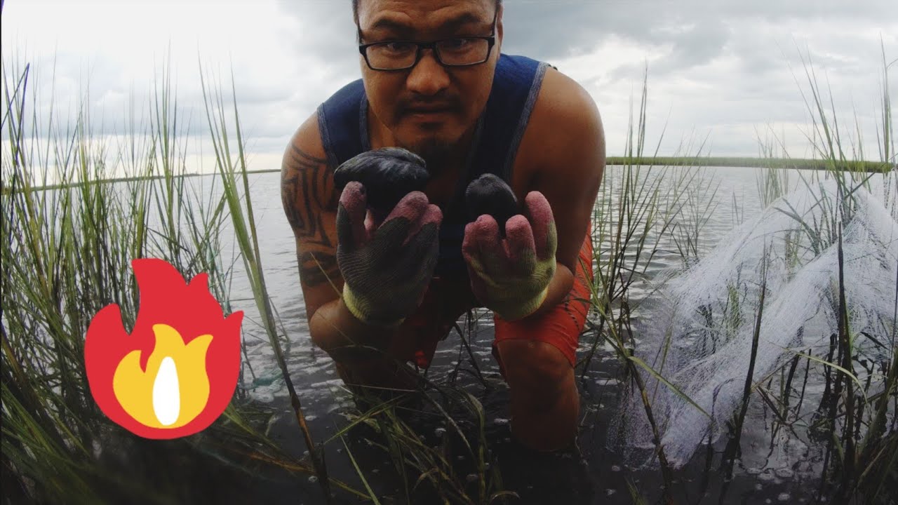 Shrimping and Clam digging the NC coast. YouTube