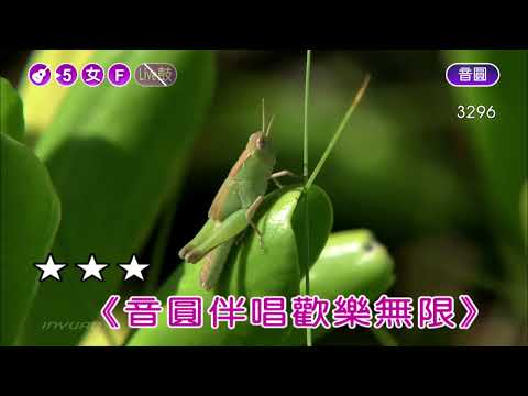 痴心絕對~李聖傑~女F調~伴奏~導唱丙