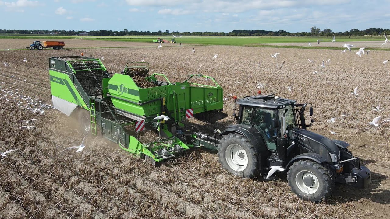 Valtra N163 with 2-row AVR Spirit 9200 Varioweb potato harvester / New Holland with BKH dumpers