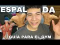 CÓMO FUNCIONAN LOS MÚSCULOS DE LA ESPALDA (TENES QUE SABER ESTO YA!!)