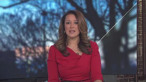 DOJ sues DC over laws banning semi-automatic guns