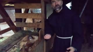 Mi Pomagate Pripraviti Jaslice?