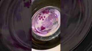 Candy synthetics second interm spin