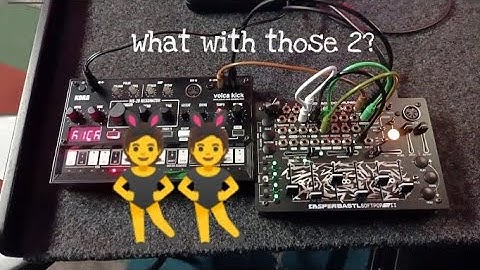Volca kick poping BBastl Softpop 2