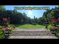 VR (360°) Nature Walk along River Trails | Don Valley | Toronto