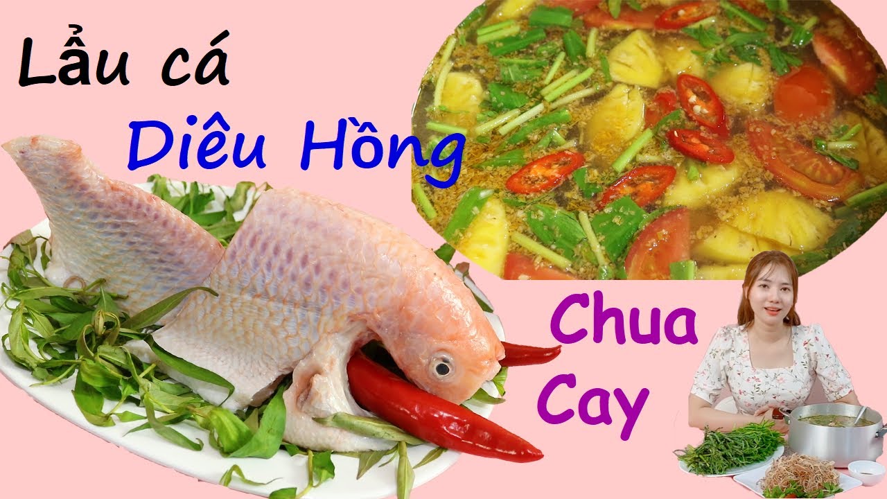 Hướng dẫn Cách nấu lẩu cá – Lẩu cá diêu hồng chua cay – Cách nấu lẩu cá chua cay siêu ngon – Nguyên Nguyên