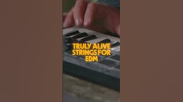 Disco Studio Strings UDS™: spirited, hyper-real strings for any genre