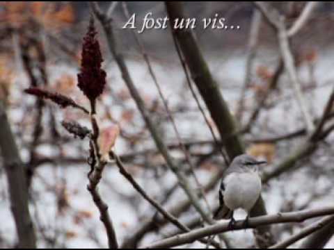 ♥♫ERNESTO CORTAZAR - When the soul cries♥♫ - YouTube