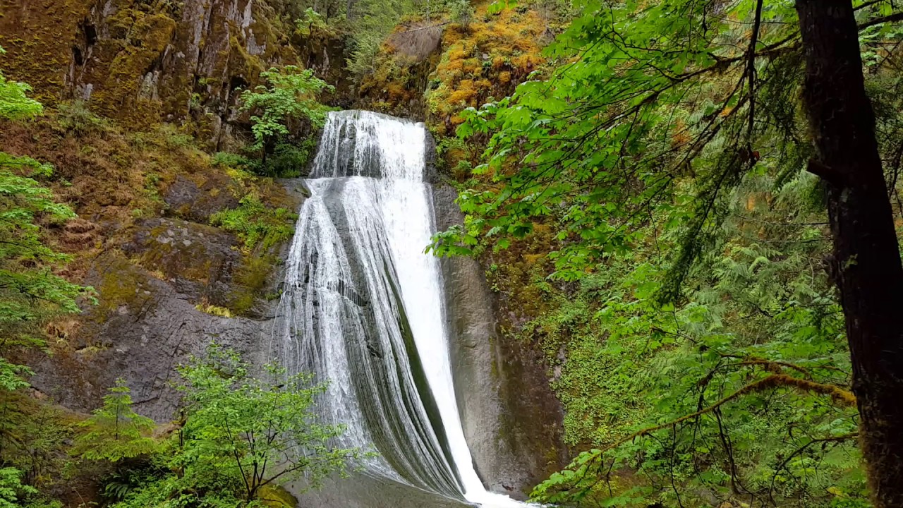 Wolf Creek Falls
