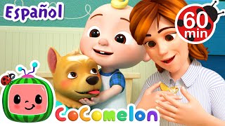 Las mascotas | 🍉 Cocomelon  📺 TV para niños 📺 Caricaturas, dibujos animados para niños