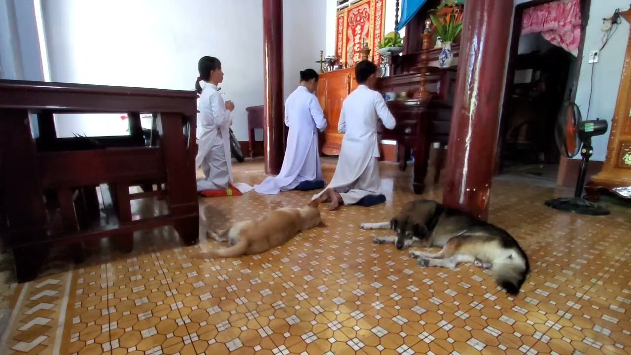 Cúng tứ thời, Cao Đài