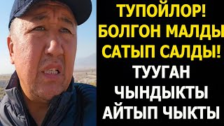 видео: Акыркы сааттагы кабарлар 25 - октябрь 2025 - жыл  картинка: Акыркы сааттагы кабарлар 25 - октябрь 2025 - жыл
