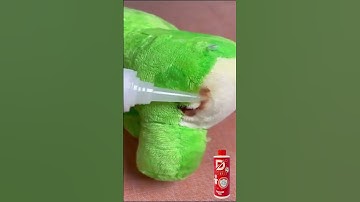 Tẩy trắng mọi vết bẩn, ố vàng, nấm mốc chỉ trong một nốt nhạc