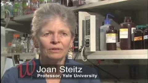 Joan Steitz Tribute Film
