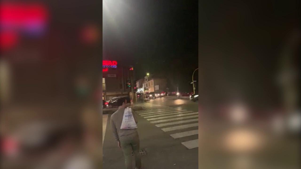 Gaia e Camilla, il video dell'avvocato dei Romagnoli: 