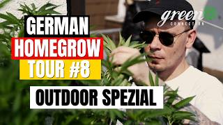 2026 Outdoor Homegrow at Domi's: Custom Cross, Autoflowers in Living Soil & Solventless Extracts 🌱
