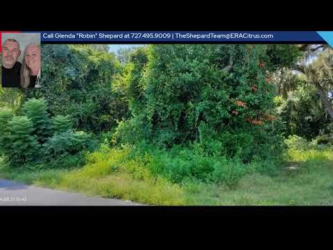 1980 S Tsala Terrace, Inverness, FL home video tour