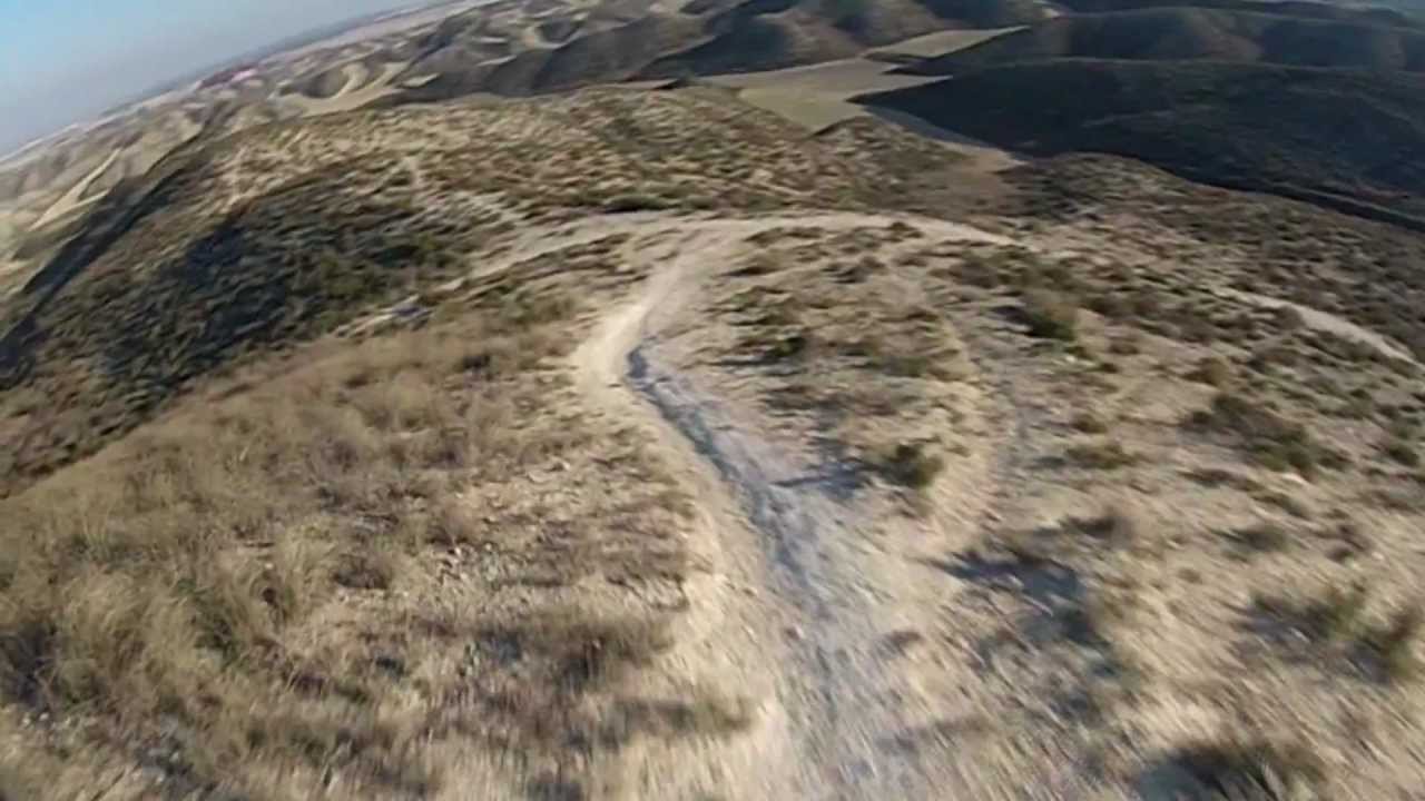 Pinares de Venecia - Las Planas