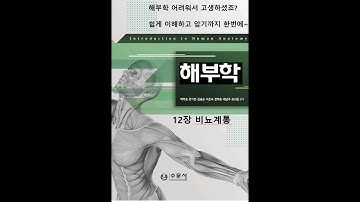 해부학12장 비뇨계통 20200803