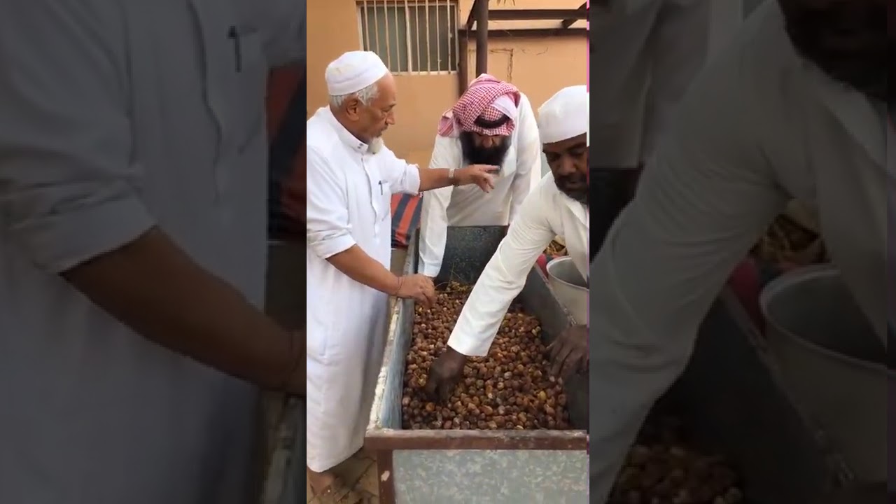 طريقة استخراج الدبس من التمر