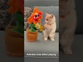 “Cute Kitten vs Dancing Flower 🌼🐱 | Unexpected Friendship!”#shorts #shortsvideo