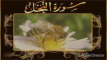 ما تيسَّر من سورة النحل - بلال أحمد المشهداني