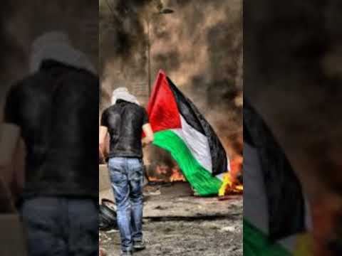 انا فلسطيني يا ابن ال 