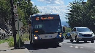 Ride on stm route  166 queen Mary (#37-083)