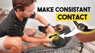 BEST Method for Consistent E-Collar Contact (Dog Trainer)