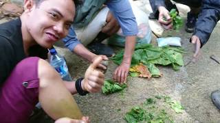Racun pacet