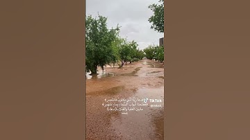 فدعا ربه أني مغلوب فأنتصر القارئ عبد العزيز الأحمد
