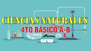 4TO BASICO A-B - CIENCIAS - LA FUERZA Y SUS EFECTOS 4TO BASICO A-B - CIENCIAS - LA FUERZA Y SUS EFECTOS