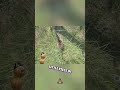 Dinosaur Bites Back! Then Gets EPIC Revenge! #shorts