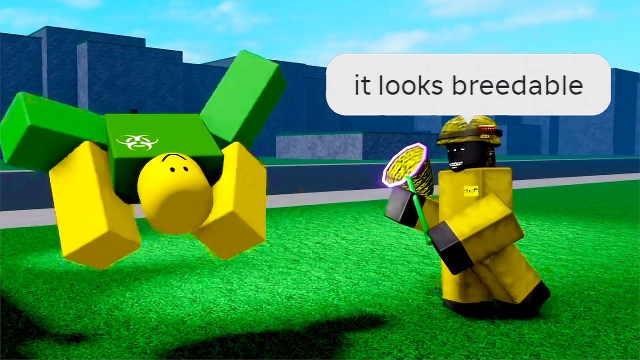 Смешные моменты с истребителями нубов | AggressiveScot