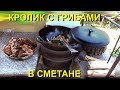 Кролик в сметане , с грибами на дровах "ПАСХА" !