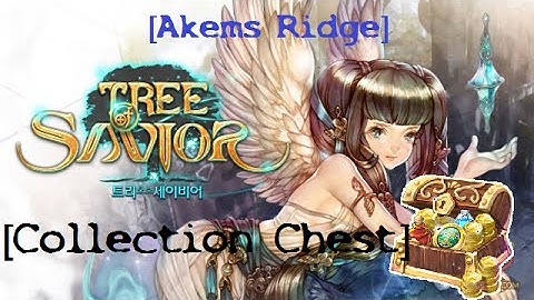 Tree of Savior | Found Collection Chest | Akmens Ridge