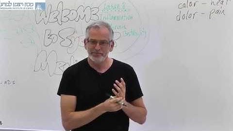 Systems Medicine 2019 Lecture 8 - Inflammation and fibrosis as a bistable system