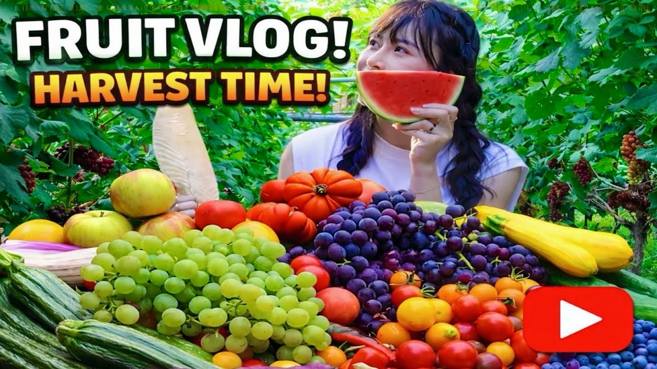 Fruit Vlog Video 🍏🍇🍒🍎 Fruit Tree Official Vlog 🍓🥝