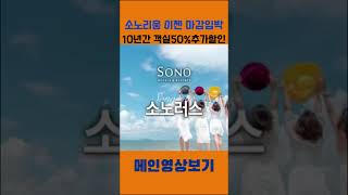 현재 가장 저렴한 신규회원권 소노리움 가성비 좋은 무기명 소노호텔앤리조트 (대명리조트) 회원권 가격 혜택 쏠비치남해 회원권 소노리움, 소노러스, 노블리안블랙, 법인스위트무기명